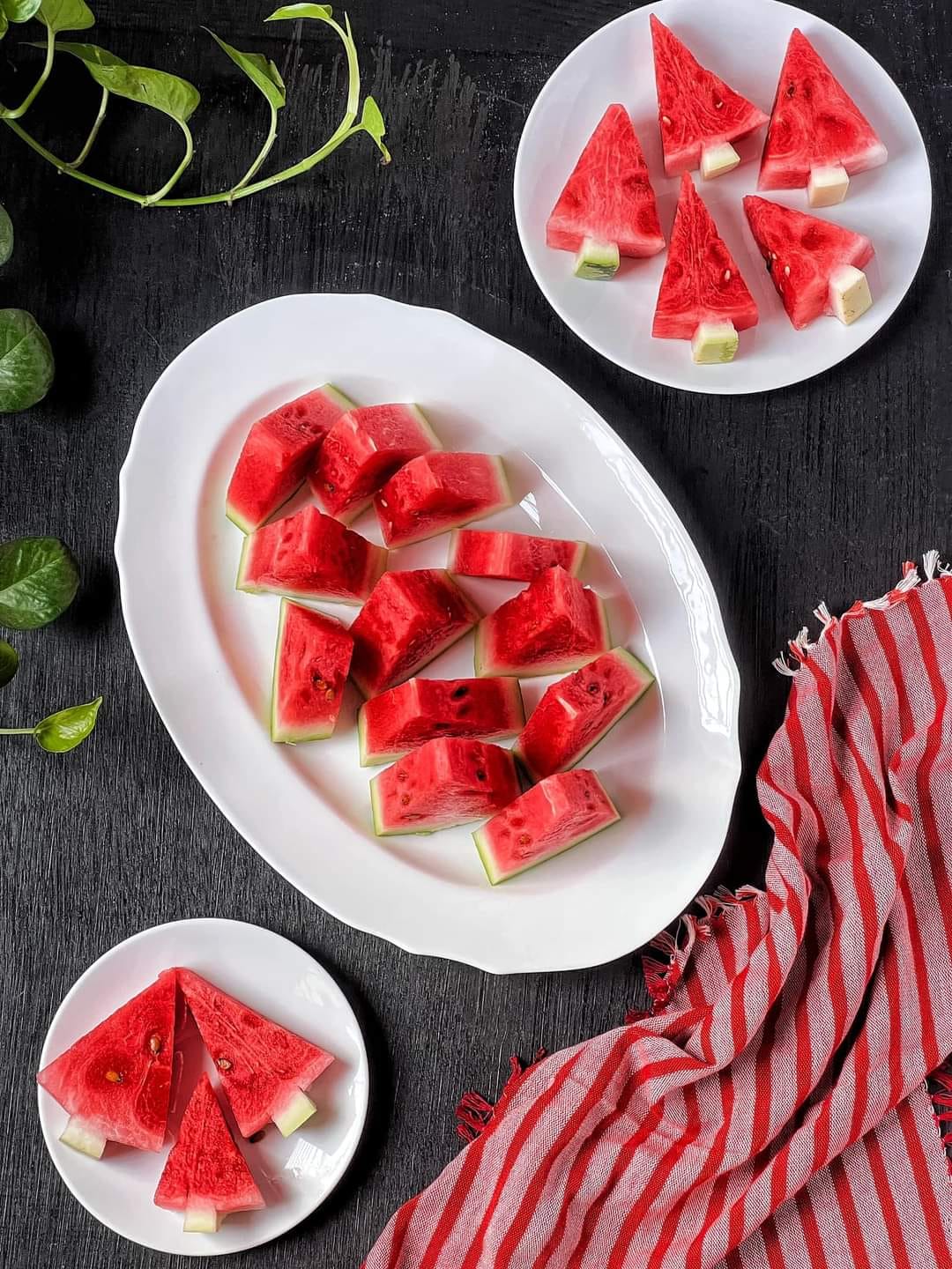 Slices of watermelon